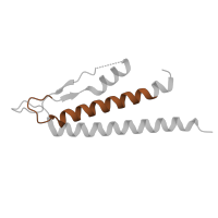 The deposited structure of PDB entry 7e80 contains 5 copies of Pfam domain PF00460 (Flagella basal body rod protein) in Flagellar basal body rod protein FlgB. Showing 1 copy in chain PA [auth o].