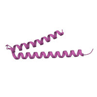 The deposited structure of PDB entry 7e80 contains 6 copies of Pfam domain PF02049 (Flagellar hook-basal body complex protein FliE) in Flagellar hook-basal body complex protein FliE. Showing 1 copy in chain AB [auth s].