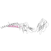 The deposited structure of PDB entry 7e80 contains 11 copies of Pfam domain PF00460 (Flagella basal body rod protein) in Flagellar hook protein FlgE. Showing 1 copy in chain JB [auth DF].