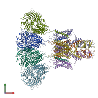 PDB entry 7e8b coloured by chain, front view.