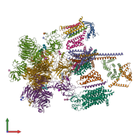 PDB entry 7eeb coloured by chain, front view.