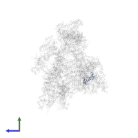 DNA-directed RNA polymerase II subunit RPB9 in PDB entry 7eg9, assembly 1, side view.
