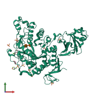 PDB entry 7ehh coloured by chain, front view.