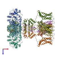 PDB entry 7ej1 coloured by chain, top view.