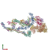PDB entry 7emf coloured by chain, front view.