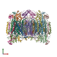 PDB entry 7ev7 coloured by chain, front view.
