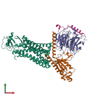 PDB entry 7f1q coloured by chain, front view.