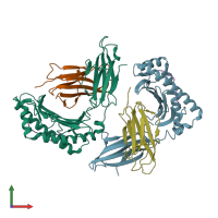 PDB entry 7f4w coloured by chain, front view.