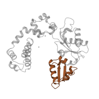 The deposited structure of PDB entry 7icg contains 1 copy of Pfam domain PF14791 (DNA polymerase beta thumb) in DNA polymerase beta. Showing 1 copy in chain C [auth A].