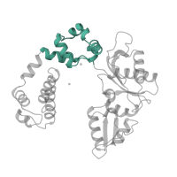 The deposited structure of PDB entry 7icg contains 1 copy of SCOP domain 81584 (DNA polymerase beta-like, second domain) in DNA polymerase beta. Showing 1 copy in chain C [auth A].