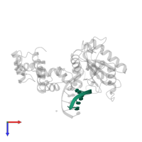 DNA (5'-D(*CP*AP*TP*CP*TP*GP*T)-3') in PDB entry 7icg, assembly 1, top view.