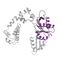 The deposited structure of PDB entry 7icj contains 1 copy of CATH domain 3.30.460.10 (Beta Polymerase; domain 2) in DNA polymerase beta. Showing 1 copy in chain C [auth A].