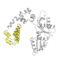 The deposited structure of PDB entry 7icj contains 1 copy of Pfam domain PF14716 (Helix-hairpin-helix domain) in DNA polymerase beta. Showing 1 copy in chain C [auth A].