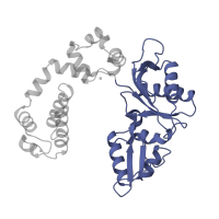 The deposited structure of PDB entry 7icl contains 1 copy of SCOP domain 81300 (DNA polymerase beta-like) in DNA polymerase beta. Showing 1 copy in chain C [auth A].
