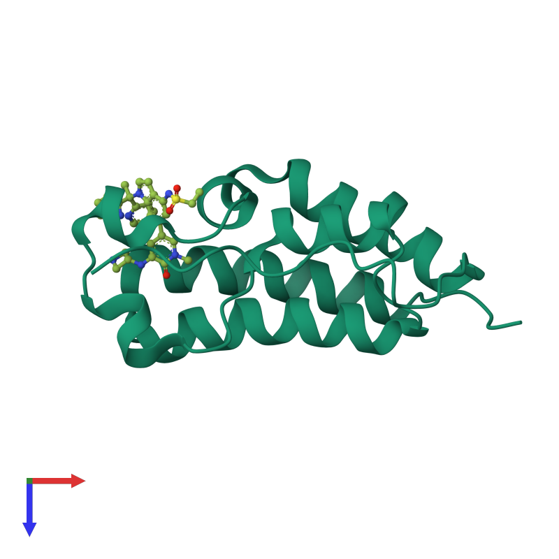 <div class='caption-body'><ul class ='image_legend_ul'> Monomeric assembly 1 of PDB entry 7jkw coloured by chemically distinct molecules and viewed from the top. This assembly contains:<li class ='image_legend_li'>One copy of Bromodomain-containing protein 4</li><li class ='image_legend_li'>One copy of N-(6-{5-[(azetidin-3-yl)amino]-1-methyl-6-oxo-1,6-dihydropyridin-3-yl}-1-[1,1-di(pyridin-2-yl)ethyl]-1H-indol-4-yl)ethanesulfonamide</li></ul></div>