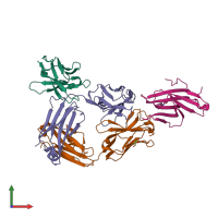 PDB entry 7joo coloured by chain, front view.
