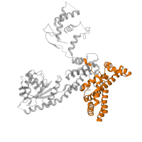 The deposited structure of PDB entry 7jpp contains 1 copy of Pfam domain PF19675 (Origin recognition complex subunit 3 insertion domain) in Origin recognition complex subunit 3. Showing 1 copy in chain C.