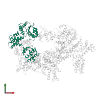 Origin recognition complex subunit 1 in PDB entry 7jpr, assembly 1, front view.