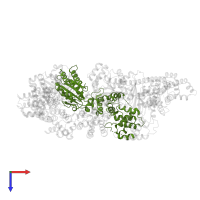 Origin recognition complex subunit 5 in PDB entry 7jpr, assembly 1, top view.