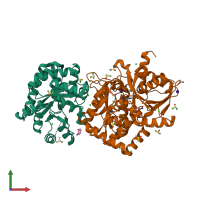 PDB entry 7jqw coloured by chain, front view.