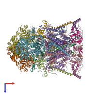 PDB entry 7jrg coloured by chain, top view.