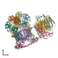 PDB entry 7jrp coloured by chain, front view.