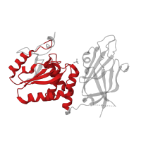 The deposited structure of PDB entry 7juk contains 1 copy of Pfam domain PF00102 (Protein-tyrosine phosphatase) in Phosphatidylinositol 3,4,5-trisphosphate 3-phosphatase and dual-specificity protein phosphatase PTEN. Showing 1 copy in chain A.