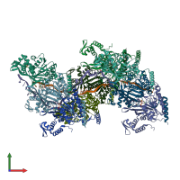 PDB entry 7jy6 coloured by chain, front view.