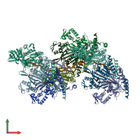 PDB entry 7jy8 coloured by chain, front view.