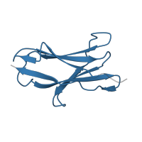 The deposited structure of PDB entry 7jzi contains 2 copies of Pfam domain PF13895 (Immunoglobulin domain) in LAIR1. Showing 1 copy in chain A.