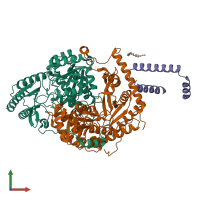 PDB entry 7k0j coloured by chain, front view.