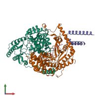 PDB entry 7k0l coloured by chain, front view.