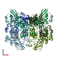 PDB entry 7k0r coloured by chain, front view.