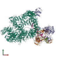 PDB entry 7k0y coloured by chain, front view.