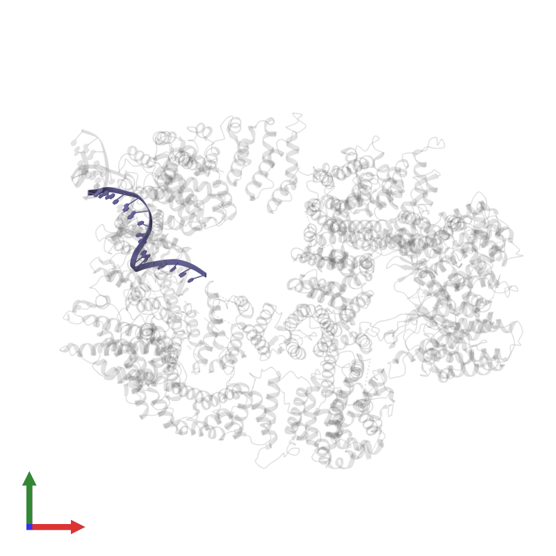 PDB 7k19 gallery ‹ Protein Data Bank in Europe (PDBe) ‹ EMBLEBI