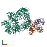 PDB entry 7k1j coloured by chain, front view.