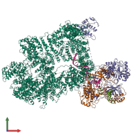 PDB entry 7k1n coloured by chain, front view.