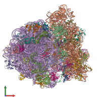 PDB entry 7k52 coloured by chain, front view.