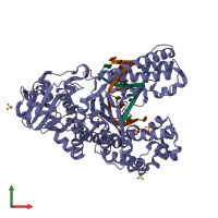 PDB entry 7k5o coloured by chain, front view.