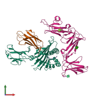 PDB entry 7k81 coloured by chain, front view.