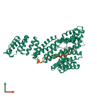 PDB entry 7kdt coloured by chain, front view.