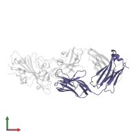 light chain of antibody C1A-B3 Fab in PDB entry 7kfv, assembly 1, front view.