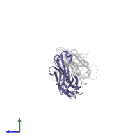 light chain of antibody C1A-B3 Fab in PDB entry 7kfv, assembly 1, side view.