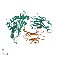 PDB entry 7kgo coloured by chain, front view.