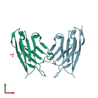 PDB entry 7kkj coloured by chain, front view.