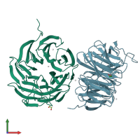 PDB entry 7klj coloured by chain, front view.