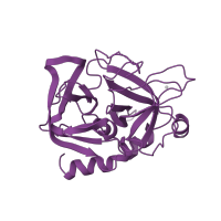 The deposited structure of PDB entry 7kme contains 1 copy of SCOP domain 50514 (Eukaryotic proteases) in Thrombin heavy chain. Showing 1 copy in chain B [auth H].