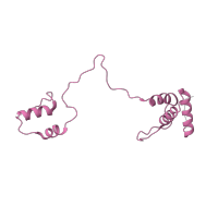 The deposited structure of PDB entry 7l08 contains 1 copy of Pfam domain PF10484 (Mitochondrial ribosomal protein S23) in Small ribosomal subunit protein mS23. Showing 1 copy in chain T [auth AS].