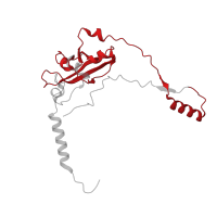 The deposited structure of PDB entry 7l08 contains 1 copy of Pfam domain PF16053 (Mitochondrial 28S ribosomal protein S34) in Small ribosomal subunit protein mS34. Showing 1 copy in chain Z [auth A0].