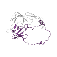 The deposited structure of PDB entry 7l08 contains 1 copy of Pfam domain PF03947 (Ribosomal Proteins L2, C-terminal domain) in Large ribosomal subunit protein uL2m. Showing 1 copy in chain HA [auth D].